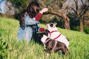 dog training