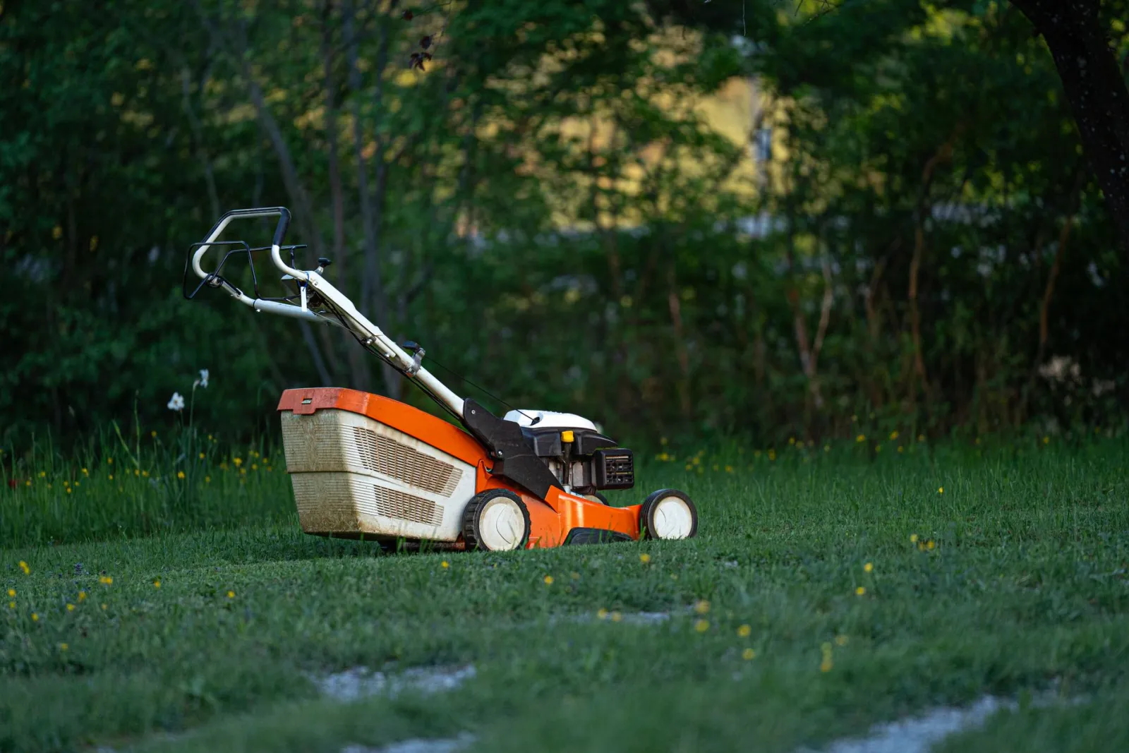 lawn mower