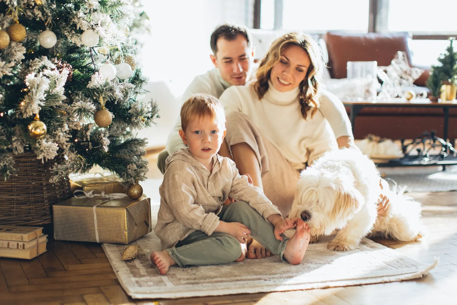 Best Dog Breeds: How to Choose for Apartments