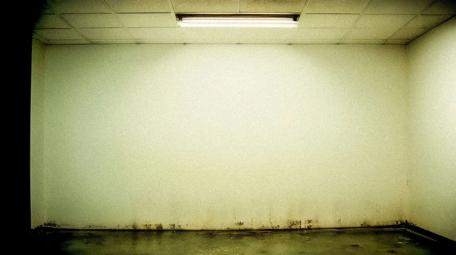 basement dehumidifier