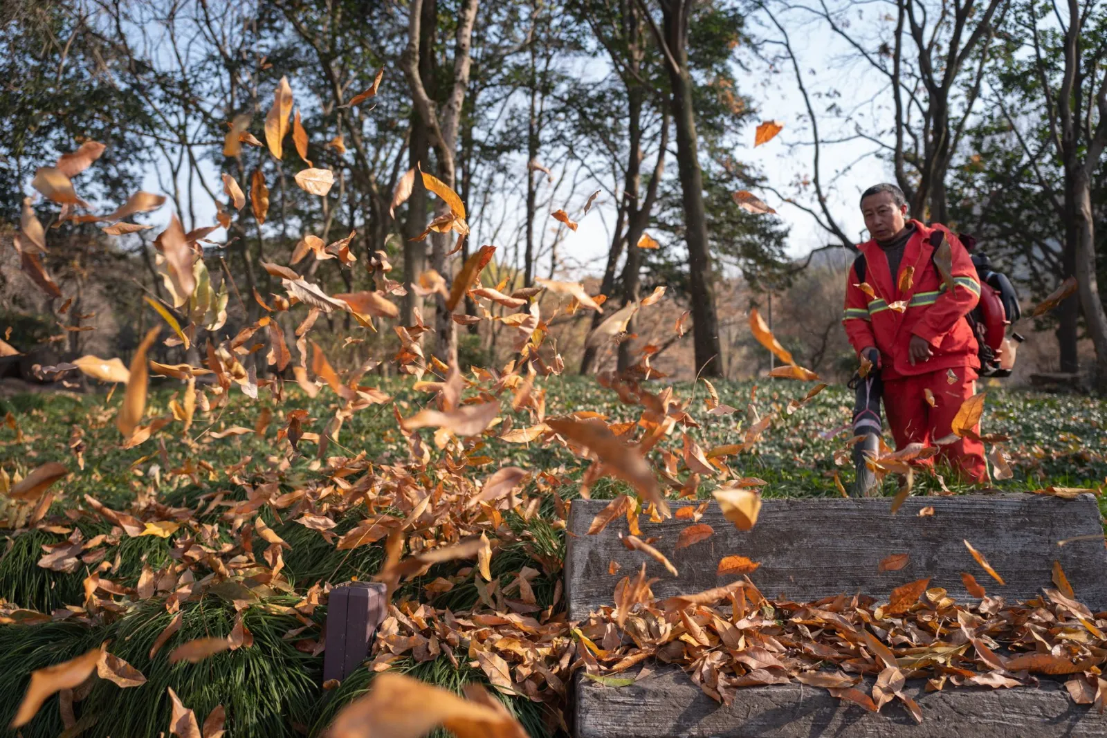 leaf blower blowing leaves