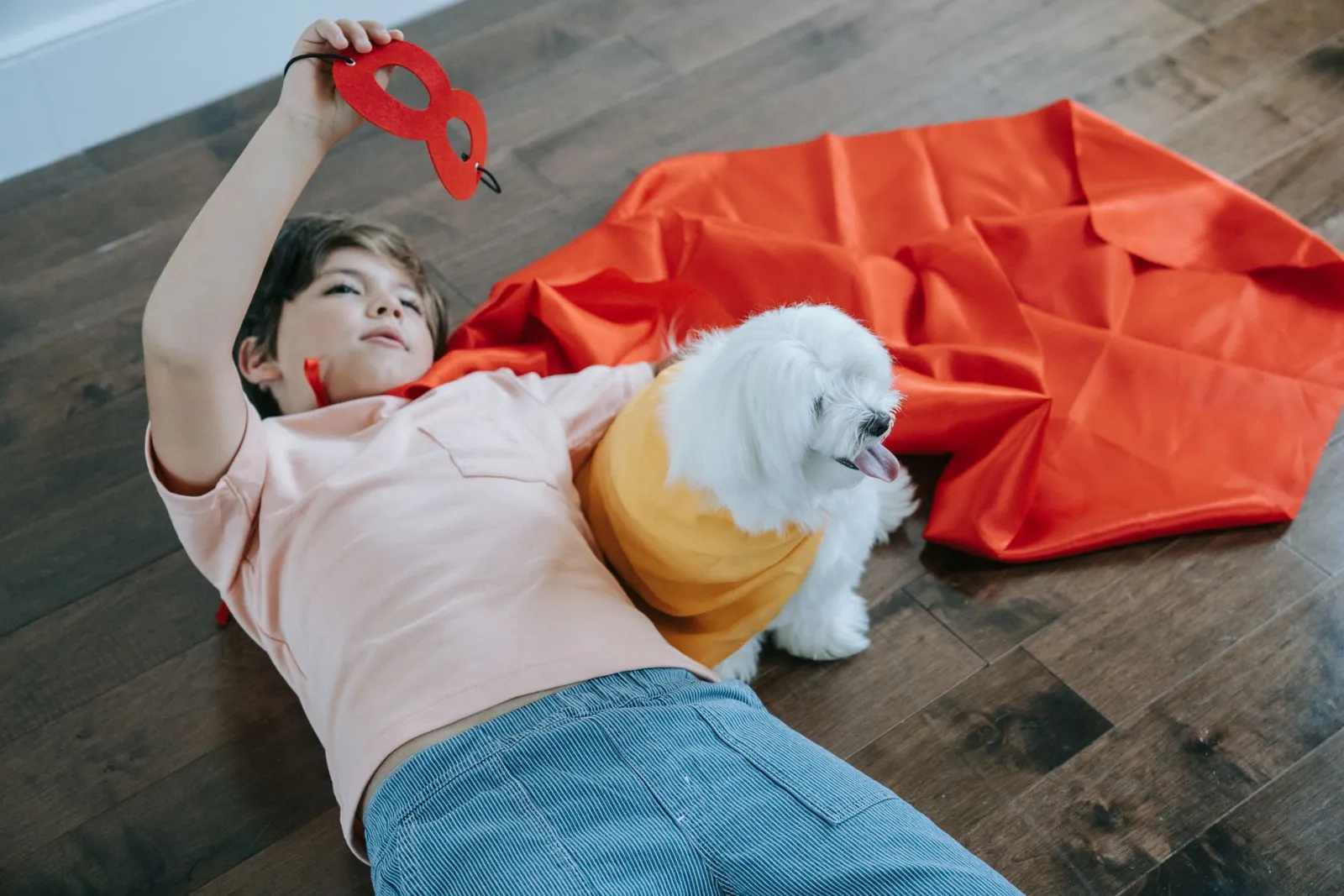 dog wearing costume