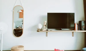 wall shelf interior
