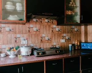 rice cooker kitchen counter