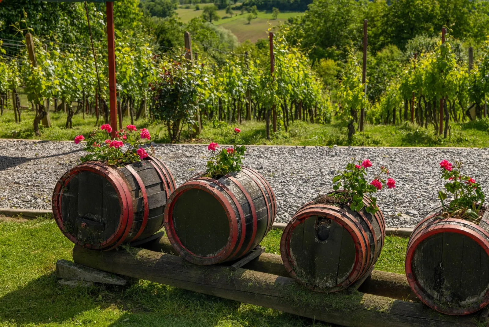 Are rain barrels a good idea?